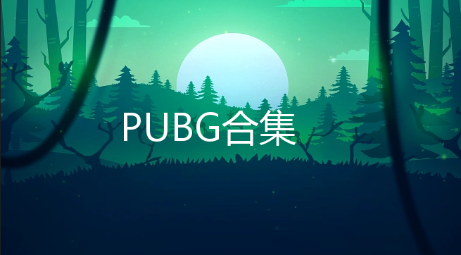 PUBG